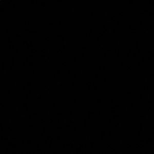 Meet your Posher, Mackenzie